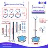 BJD Doll Adjustable Stand for 6, 8, 12-Point Figures