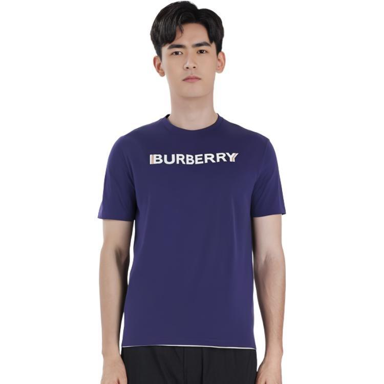 Burberry T Shirts Men's Blue Crew Neck Moderate 80530131