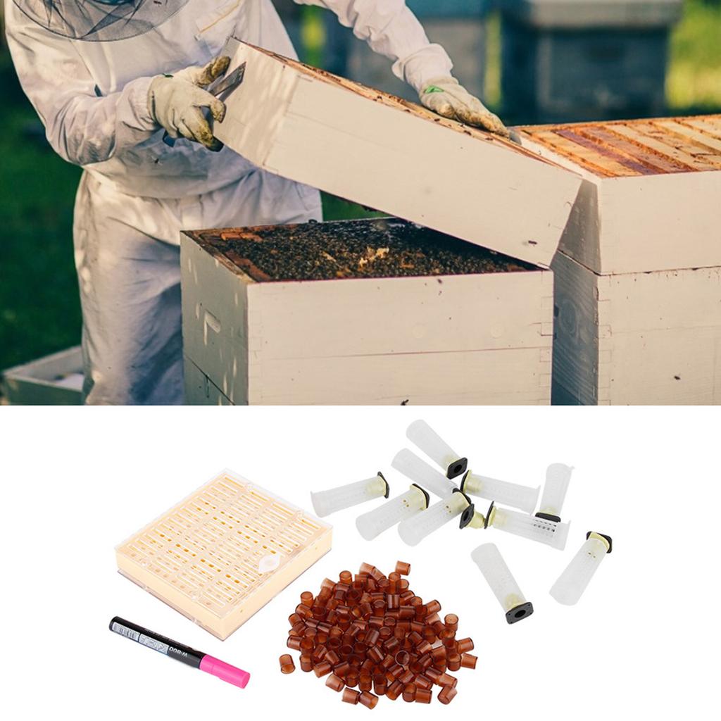 Beekeeping Rearing Cell Cup Kit Bee Queen Protective Cage Beekeeper Equipment Tools