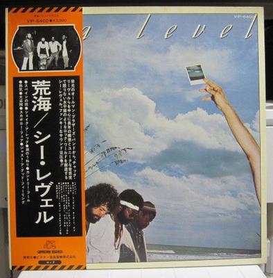 LP Record SEA LEVEL ALLMAN BROTHERS BAND  Sea Level VIP6400PROMO Capricorn Recor 1977 Japan Obi Jazz Used