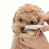 Nettoyage et Baignade pour Animaux Poils Dents Visage Yeux Aiguille Peigne Anti-Puces pour Chats et Chiens pour le Toilettage