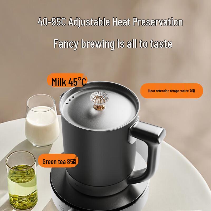 Amos 1.5L Pure Titanium Multi-functional Health Kettle