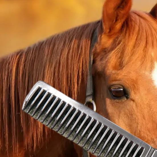 2Pcs Animal Comb Thickened Tooth Durable Polishing Surface Ergonomic Design Convenient Grooming Metal