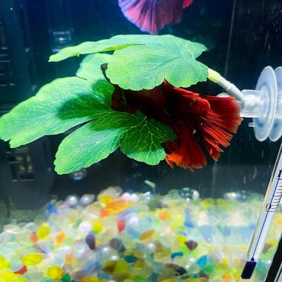 1Pcs Fish Spawning Ornamental Artificial Leaf Hammock Pets Fish Tank Decor Betta Relax Play Plants Leaf Aquarium Decoration