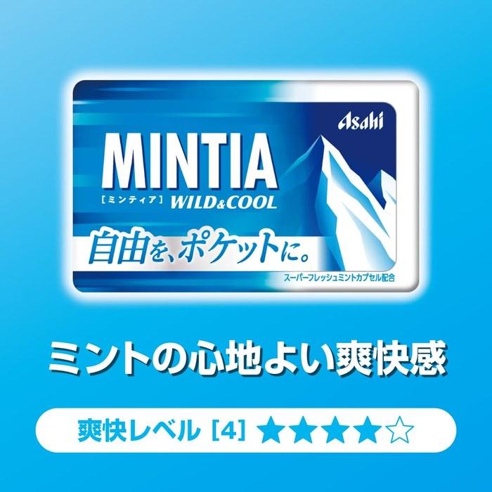 Asahi Group Foods Mintia Wild & Cool 50 count x 10 packs, White