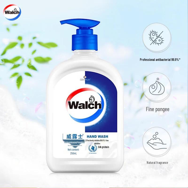 Walch Household Disinfectant & Hand Wash Combo Set