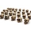 Resin Skull Figurines Set of 40 Mini Skulls Decor for Home and Garden Accent