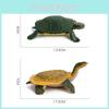Pvc Freshwater Turtle Model With Realistic Detailing For Pet Enthusiasts