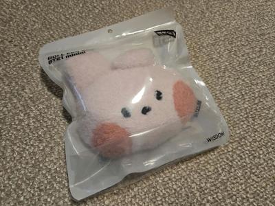 [USED] BT21 Official Cooky Plush Charm with Eco Bag