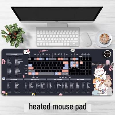 Accesorios para computadoras – Alfombrillas de ratón y cojines para manos
