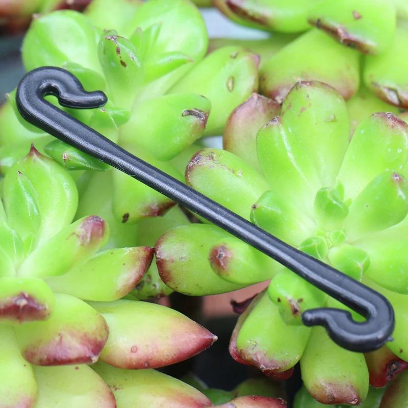 200pcs Garden Plants Vines Fixed Clips for Kiwi Grape Cucumber Tomato Tied Buckles Lashing Hook Stems Fastener Gadgets Grafting