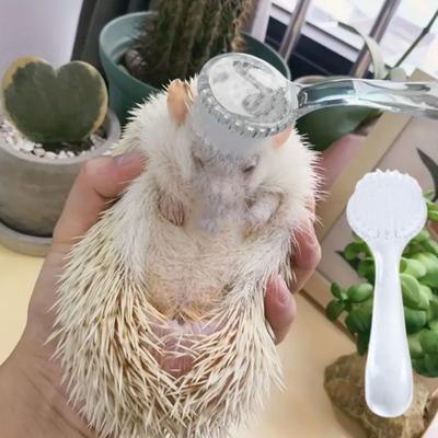 Round Head Small Hamster Brush Long Hair Guinea Pig Massage Combs Hedgehog Bathing Brush  Grooming