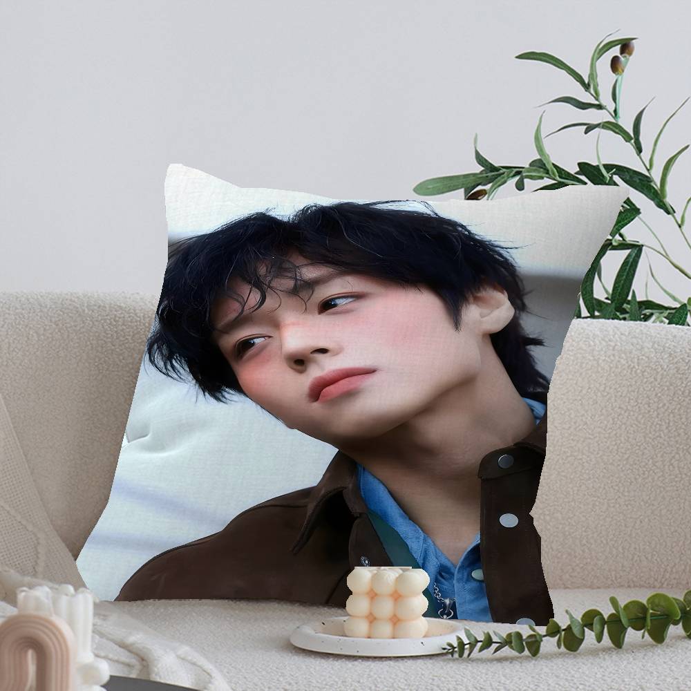 Korean P-PARK JI HOON Pillow Covers Cartoon Sofa Decorative Home Double-sided Printing Short Plush Cute Cushion Cover 12x12Inch