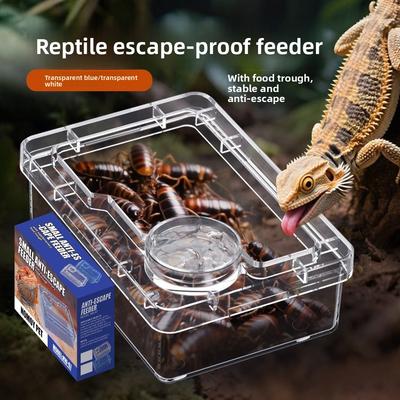 Reptilien Eidechsen Geckos Futter Näpfe Verhindern Tenebrio Molitor und Blaptica Dubia Anti Umkipp Futtertrog Transparent