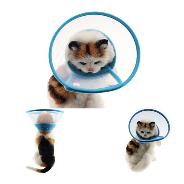small pet cone