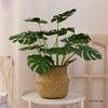 Nordic Green Artificial Plants: Dried Flower Ornaments for Home or Office Decor