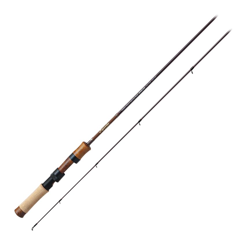 РџР°Р»СЊРјС‹ Р­РіРµСЂРёСЏ Native Performance EFNS-61L