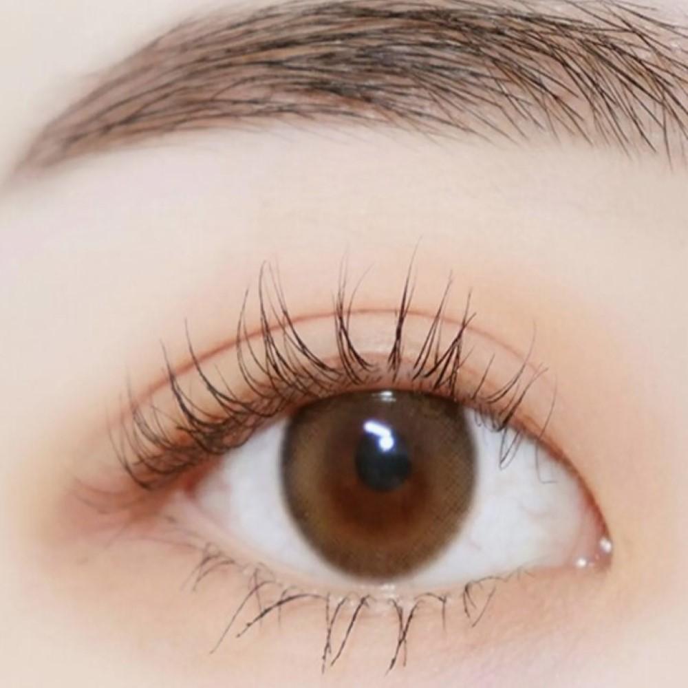 [NEW] Dasique Shadow Palette