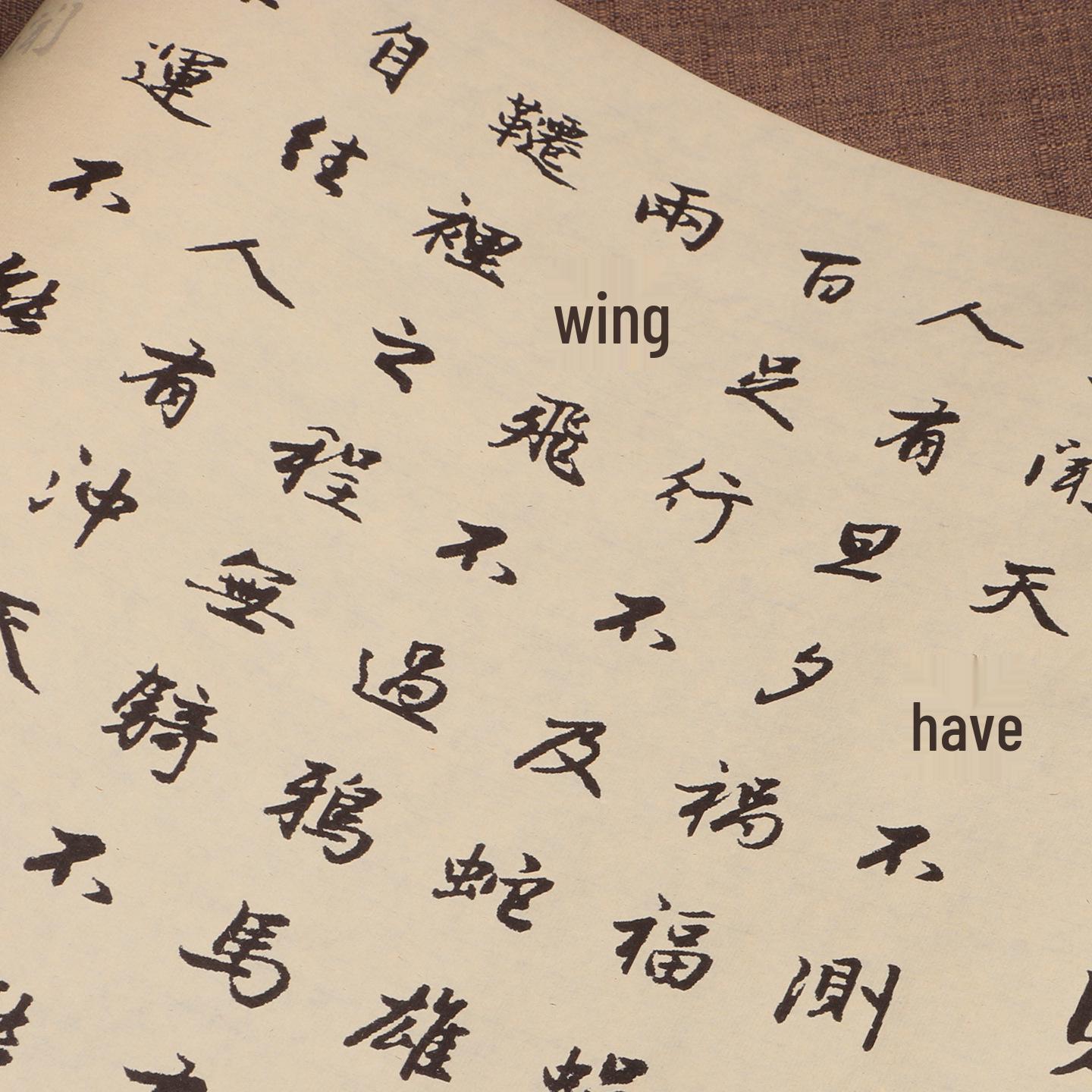 Zhao Mengfu Cursive Script Calligraphy Practice Book with Brush Pen for Adults