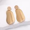 European and American Fashion Trend Commuter Wind Irregular Geometric Alloy Earrings Simple and Versatile Personalized Women's Earrings