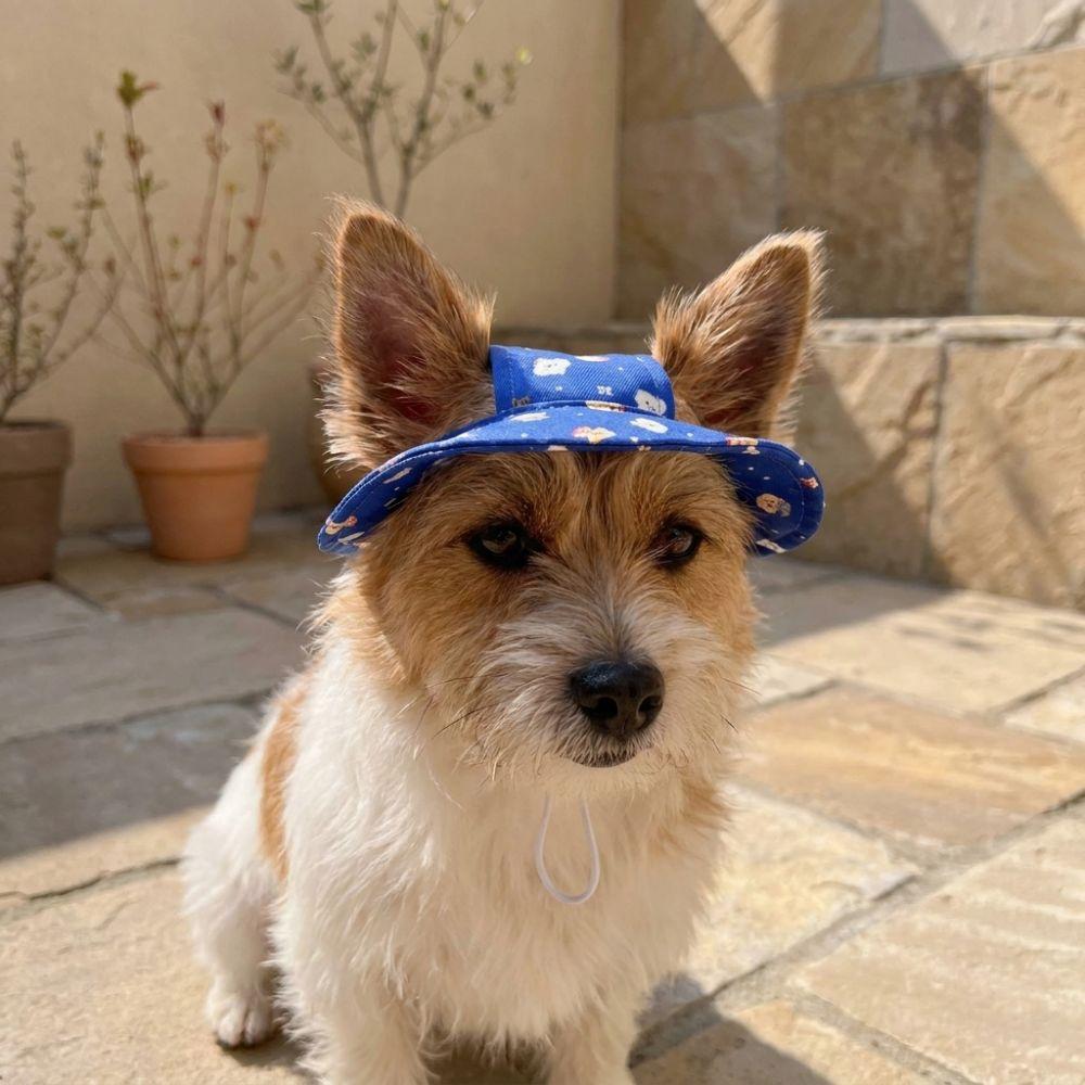 Adjustable Dog Fisherman Hat Cartoon Print Breathable Pet Sun Cap with Ear Hole UV Protection Dog Sport Hat Small Dogs Cats