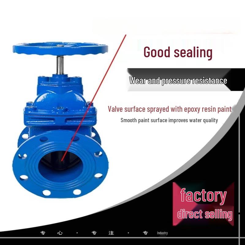 DN65 Manual Non-Rising Stem Flange Soft Seal Gate Valve