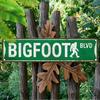 Bigfoot 4x16 Inch Vintage Metal Sign UV Printed Wall Plaque for Home Garage Bar Man Cave Decor