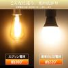 LUTW ST64 LED Bulbs, E26 Base, 60W Equivalent, Edison Bulbs, 6W, 620lm, 2700K, Warm White, Omnidirectional, Non-Dimmable, PSE Certified, Amber, Pack