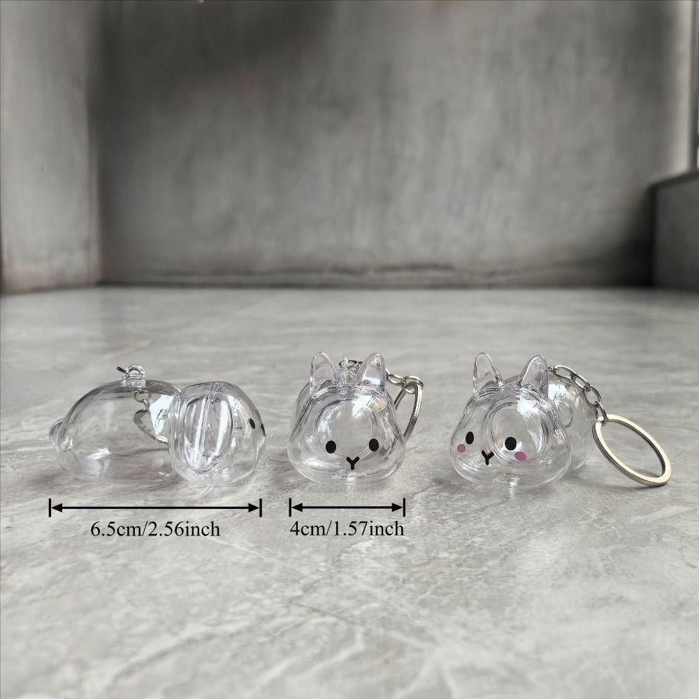 Hair Container Rabbit Hair Collector Transparent Rabbit Hair Storage Box  Jewelry Gifts