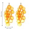 Elegant Shell Earring Bohemian Style Exaggerated Earring Temperament Tassel Drop Earring  Ladies
