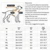Windproof Dog Raincoat Transparent Dog Clothing for Rainy Days Walking Pet Poncho  Dog Supplies