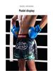 2025 Multi-Color Boxing & Muay Thai Shorts, European Fit, Competition & Training, Multi-Style
