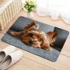 VIKAMA Yorkshire Terrier Psí rohožka Izolovaná, Teplá, Protiskluzová Rohožka do předsíně Koupelnový koberec Domácí dekorace