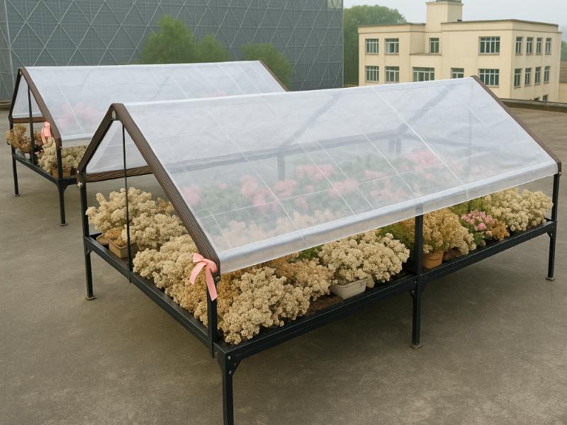 PLANDEKA PRZEZROCZYSTA 2x4m 210g/m2 [PLANDEKA2]