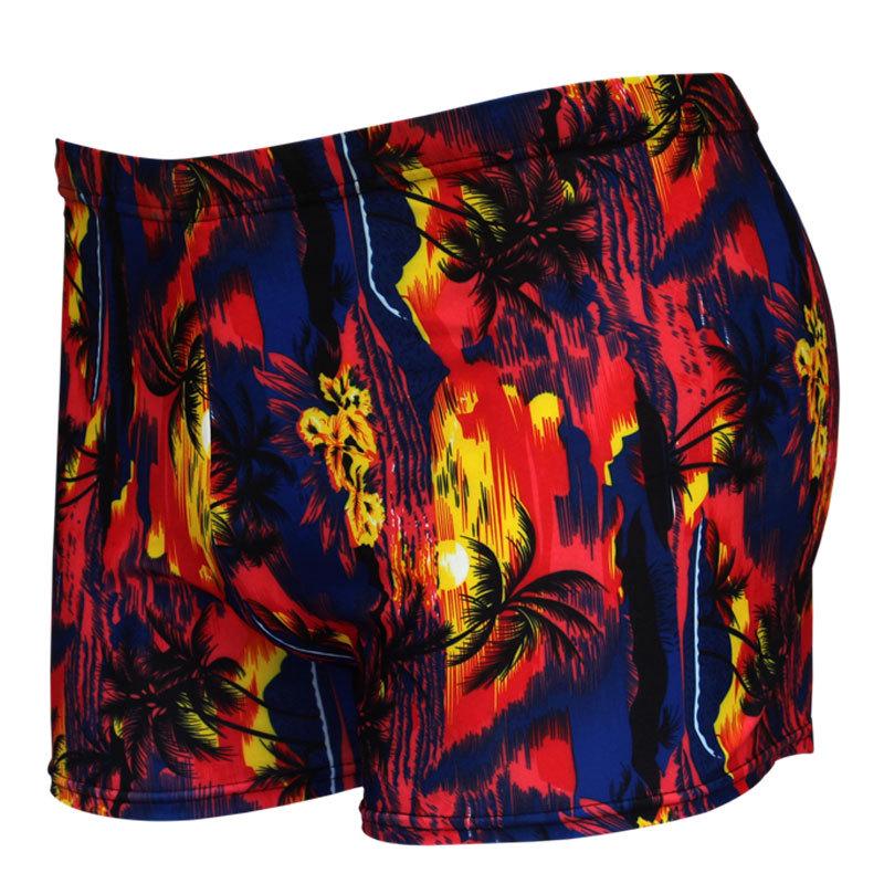 Printed Plus Size Fashion Flat Leg Swimsuit 933-934