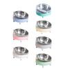 New Stainless Steel Elevated Cat Bowls Easy Clean Plastic Pet Drinking Dish Tilted Design Pet Feeding Dish Dog Feeding