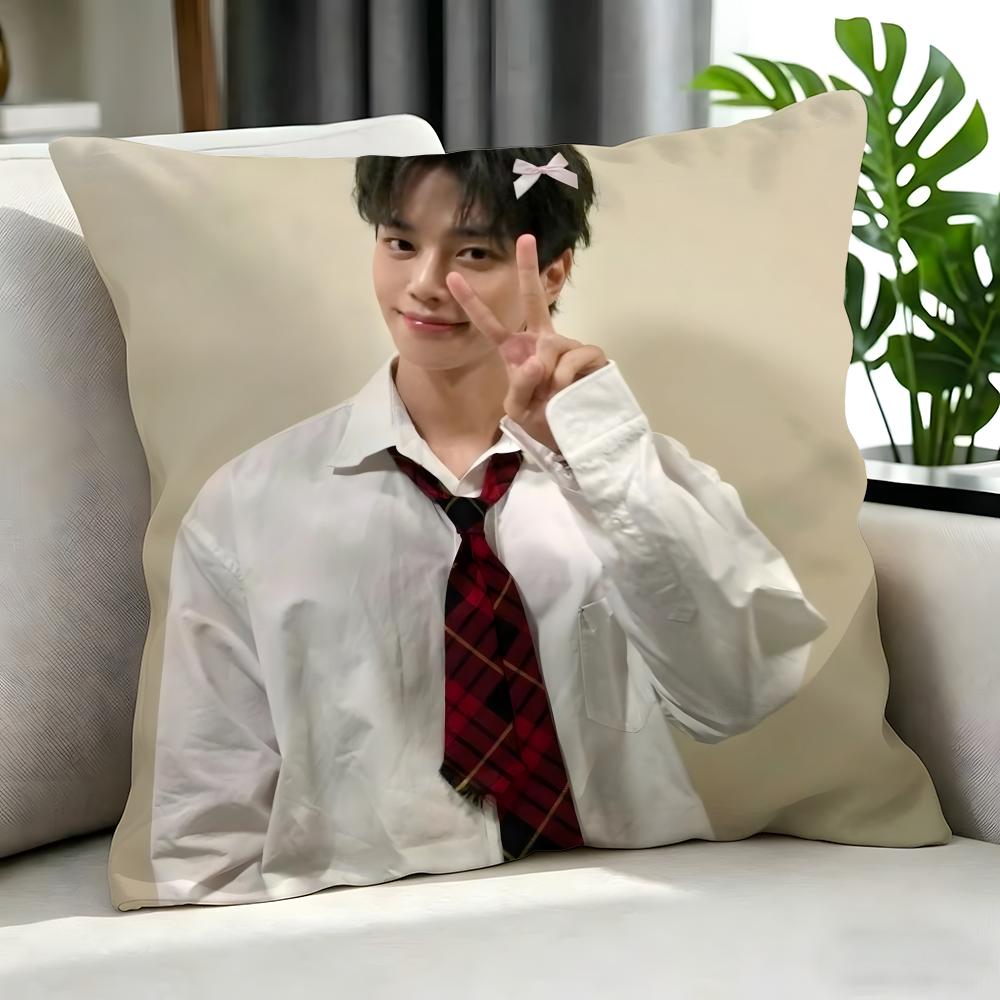 Celebrity SSong Kang Cushion Cover Cushion Cover Set Pcs X X X Pillowcase Decorative Sofa Home Decor