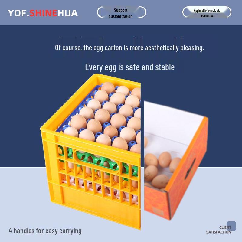 Shockproof Plastic Egg Transport Tray for Duck Eggs and Soy Milk