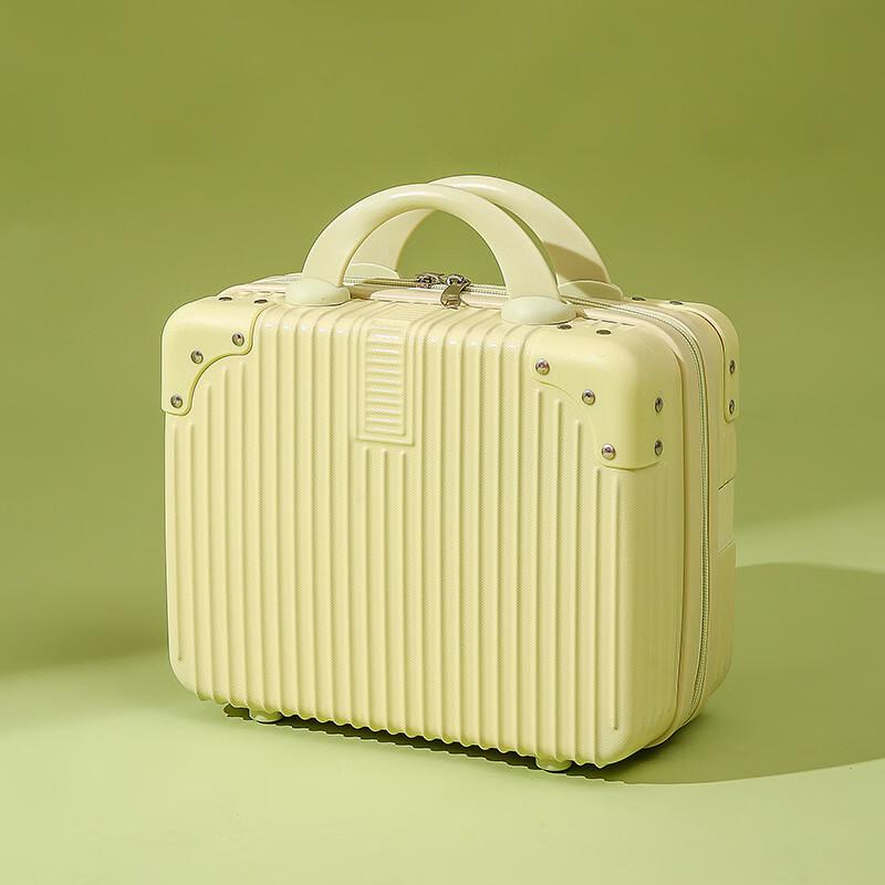 DCLOUD 14-inch Lightweight ABS Cosmetic Travel Case