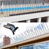 Bird Repellent Spikes Anti Against Birds and Pigeons Hooligans Deterrent Scarecaper Goods Scare Outside Repeller Balconies Pest