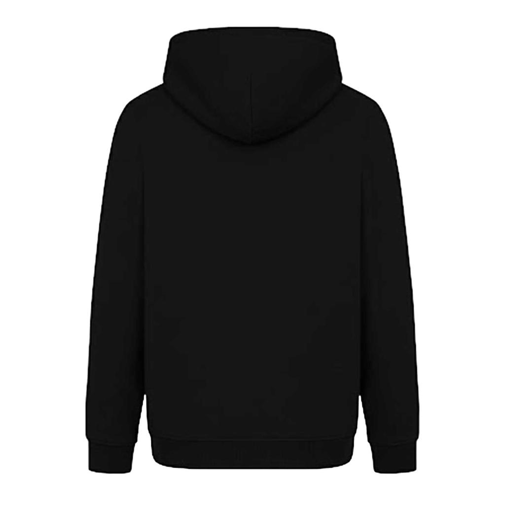 Journey Unisex Adult Wings Hoodie