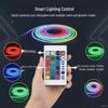 RGB LED Silicone Neon Strip with 24-Key Controller