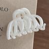 Solid Color Frosted Small Hair Claw for Women Double Row Teeth Ponytail Clip Simple Hair Claw Thin Hair No Slip Ponytail Holder