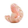 Luminous Pearl Shell Jewelry Box & Dreamy Ceramic Lamp