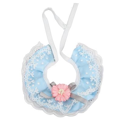 Abbigliamento e scarpe – Accessori per cani