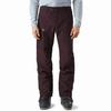 Arc'teryx RUSH Gore Te Ski Pants Men's (Unisex) Ski Pants 21703