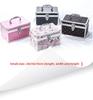 Portable Double-Layer Aluminum Alloy Cosmetic Case with Mirror and Password Lock