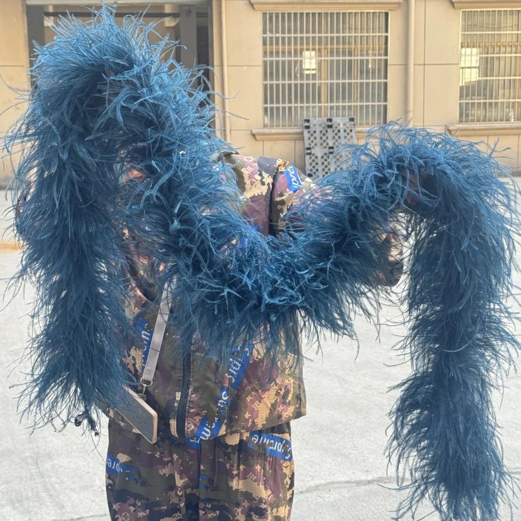 6/10 Layer Multicolor Ostrich Feather Boa 2Meters Fluffy Ostrich Plumes Shawl For Party Lady Dress Clothing Diy Decoration Scarf