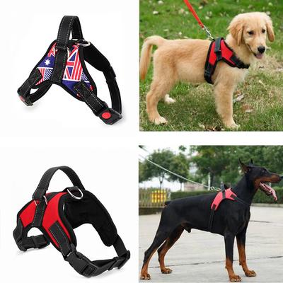heavy duty dog collars and leashes