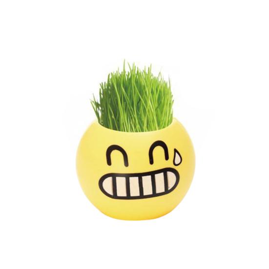 

Милый пластиковый горшок Mini Emoji DIY посадка травы домашний рабочий стол окно цветочный горшок 1#